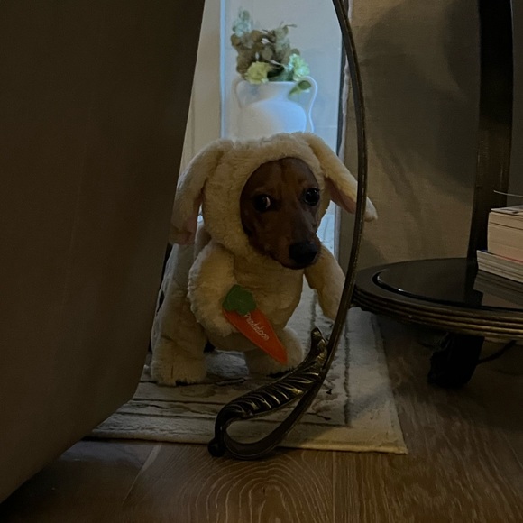 Meet your Posher, Kristin - Picture 9 of 11